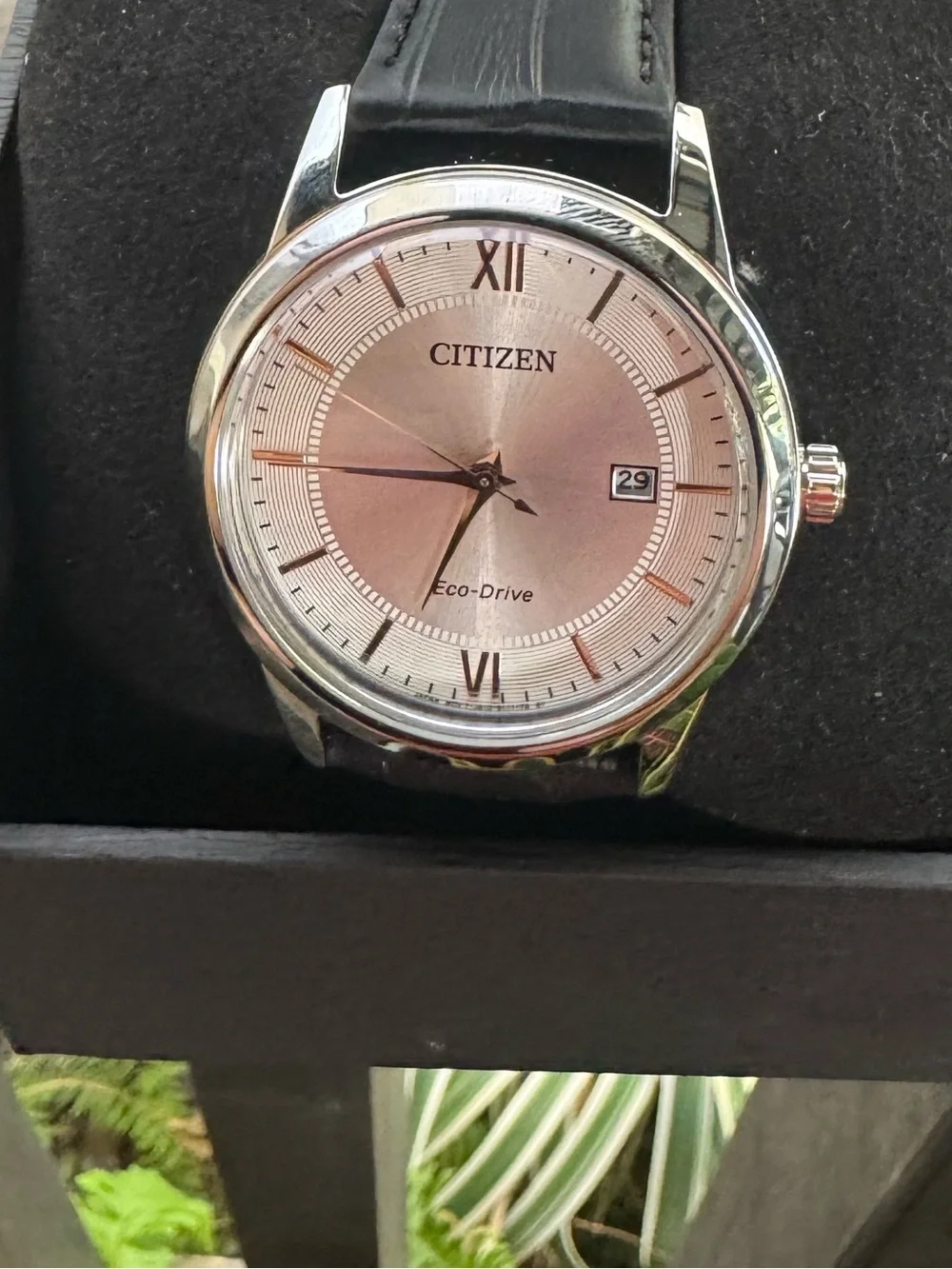 Citizen Men's Strap Watch Eco-Drive Collection AW1236-03A